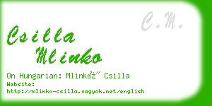 csilla mlinko business card